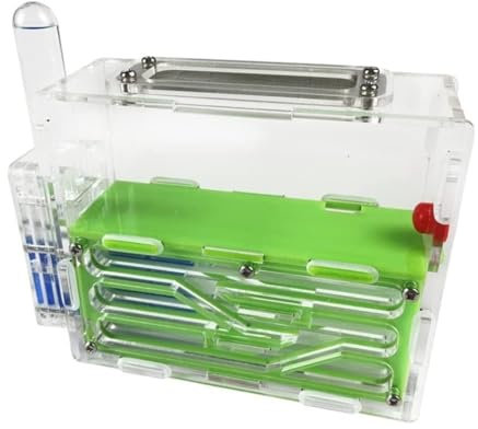 IWENZHKPA Ameisen Terrarium Ameisenburg Acryl Ameisenfarm Wissenschaftliche Beobachtung DIY Ameisennest Farm Ameisenwerkstatt Formicarium(Grün)