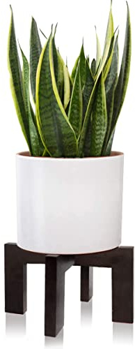 Gendral Forwepup Plant Stand Indoor Outdoor, Mid Century Plant Stand for Indoor Plants, Wood Modern Plant Holder Rattan Flower Plant stool, Low Short Boho Rustic Planter Stand, Fit 5-15 Inch Pot…