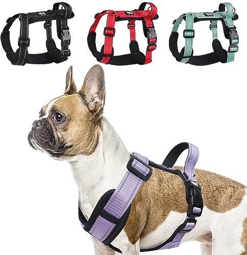 LiebeDD Hundegeschirr Lila L - Brustgeschirr Hund Mittel Reflektierend Anti Zieh Hunde Geschirr Hund Zuggeschirr Gepolstert mit Griff Dog Harness für Welpen Kleine und Mittelgroße Hunde