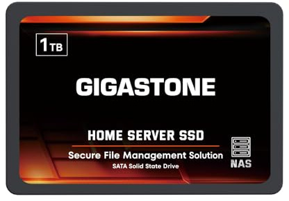 Gigastone Home Server SSD 1TB NAS SSD Drive Cache 24/7 Durable TLC High Endurance Personal Cloud Data Sync Network Attached Storage RAID 3D NAND 2.5 SATA Internal Solid State Hard Drives