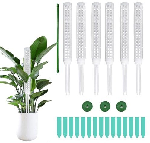 Lot de 6 poteaux en mousse de sphaigne à arrosage automatique pour plante Monstera, support de plante en plastique, empilable, pour plantes grimpantes, plantes d'intérieur (blanc, 63,5 cm de haut)