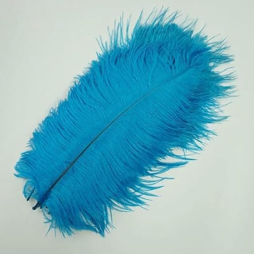 Lot de 10 plumes d'autruche naturelles colorées pour travaux manuels, grandes plumes, couleur or, menthe, rouge, rose, décoration de fête de mariage, bleu, 30-35 cm
