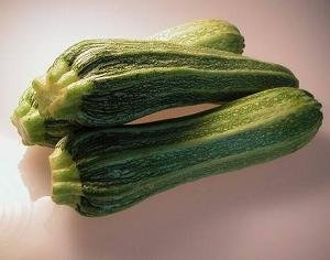 Squash Summer Romanesco (Zucchini) 1,000 Seeds