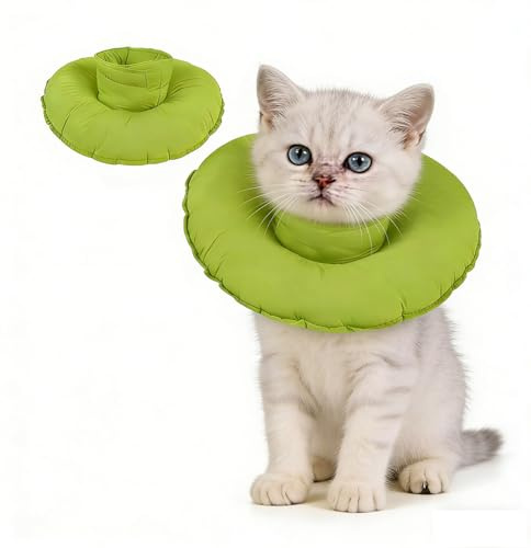 Hjyokuso katt konkrage
