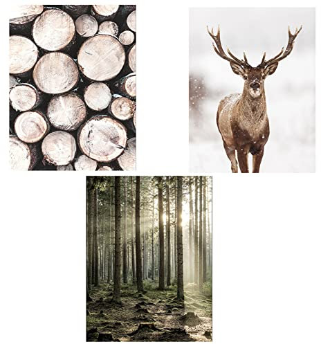 TROYSINC 3er Premium Poster Set, Moderne Natur Winter Landschaft Wandbilder Leinwandbilder, Ohne Rahmen Kunst Wald Bilder Wanddecor für Wohnzimmer (Stil A,50 x 70 cm)