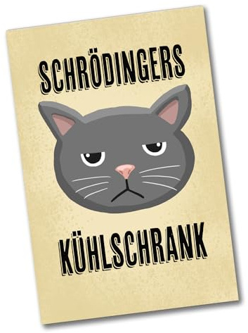 Schrödingers Kühlschrank Souvenir Magnet mit grimmiger Katze lustiger Souvenir Magnet für den Kühlschrank zum Befestigen von Fotos, Postkarten oder Haushaltsplan von Physikern