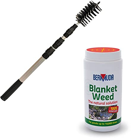 Hozelock Blanketweed Brush and Bermuda Blanketweed Pond Water Algae Treatment 400g