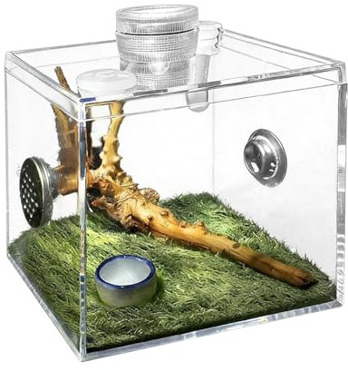 Veasbuu Springspindel, terrarium – akrylglas, livsmiljö för husdjur, snigelterrarium – för vardagsrum, insekter, skrämma, gudsbetare, små djur