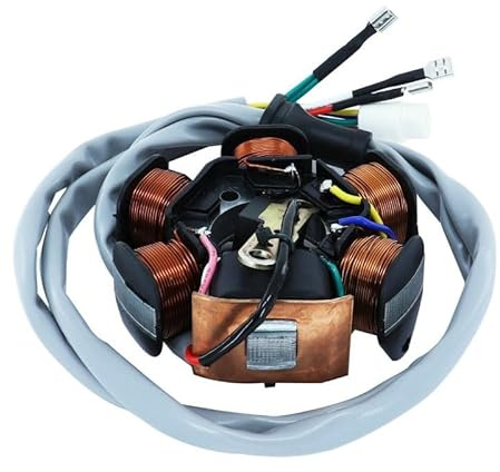 cyclingcolors lichtmaschine Stator Zündung Motor Motorrad Roller Moped kompatibel mit piaggio 50 zip free ntt typhoon nrg liberty gilera runner stalker 6 pol