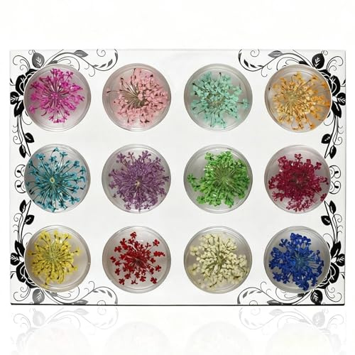 WJUAN 12 Farben Nagel Getrocknete Blumen mit Transparenter Box, Dried Nail Art Flowers, Getrocknete Blüten zum Nageldekorationen, Schmuck, Handyhüllen, Sammelalben