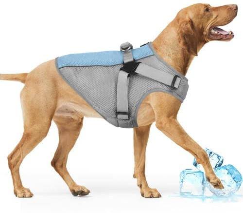 Kühlweste für Hunde Geschirr, Hundekühlweste Labrador Sonnenschutz Ideal für Hunde, Die Schlecht mit Hitze Zurechtkommen–Reduziert Übermäßiges Hecheln Und Schützt Vor Überhitzung(Grau, 2XL)
