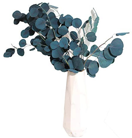Tixiyu Decoración de flores secas, tallos verdes artificiales, flores secas de eucalipto, durabilidad eterna, ramo de flores secas, decoración para el hogar, fiesta, boda, sala de estar (azul)