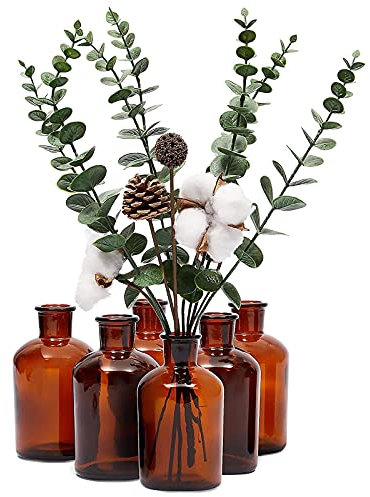 Amber Glass Bottles, 6-Pack of Vintage Style Pharmacy Bottles, 6.3 x 12.2 cm Each