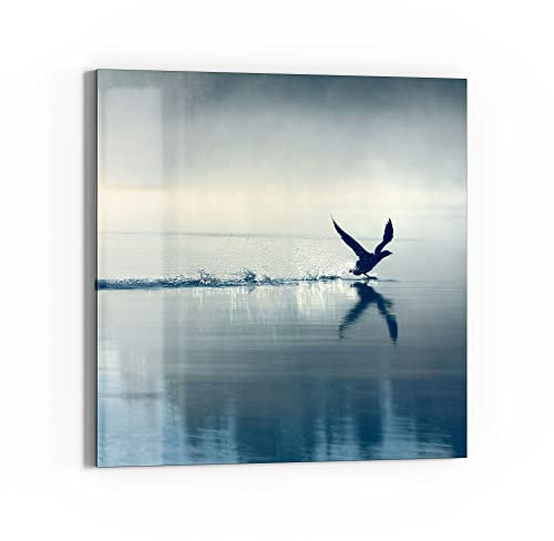 DEQORI Glasbild Acrylglas | Motiv Vogel landet auf Wasser | quadratisch einteilig 50x50 cm | schöne Dekoration | Wandbild für Wohnzimmer, Schlafzimmer, Flur & Küche | moderne Wanddeko
