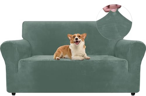 Ystyle Elastischer Samt Sofabezug 2 Sitzer, Hellgrün | Stretch Sofa Überzug, Sofaschoner Rutschfest, Couch Überzug, Sofa Cover mit Armlehnen, Sesselschoner Sofaschutz Katze