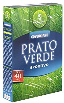 Semi Prato Resistenti per Terreno Sportivo Sementi da Giardino ad alta Germinabilità, Resistenti al Calpestio, per Tappeto Erboso, Denso e Regolare, 40 Mq