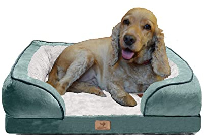 Traumreiter orthopädisches Hundebett für mittelgroße Hunde M Grün I Hundekörbchen Hundekorb Hundekissen Hundehöhle Hundesofa Hunde Bettchen Hundebetten für mittlere Hunde 70x50 cm