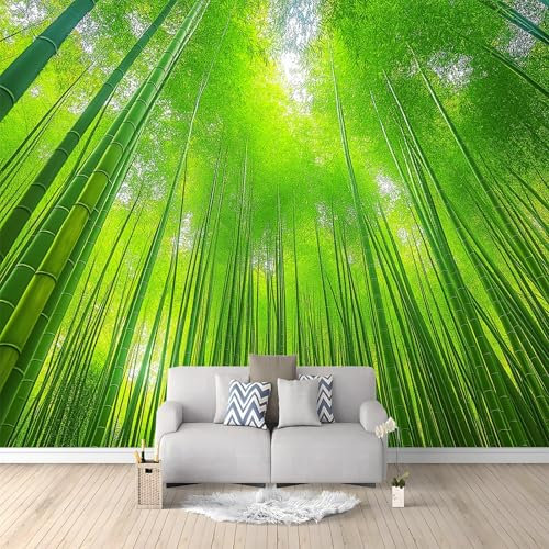 Murales 3D Fotografía Bosque De Bambú 200 x 140 cm Fotomurales Papel Pintado no Tejido, Papel Tapiz Fotográfico, Mural de Decoración de Pared para Salon, Dormitorio, Oficina