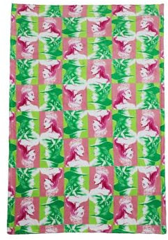 dreamtex Wicked Glenda & Elphaba Coral Soft Fleece Polyester Blanket 100x150cm for Kids Bedroom, Bed Blanket for fans, Plush Blanket for Teens, Children, Boys, Girls Pink and Green Colour