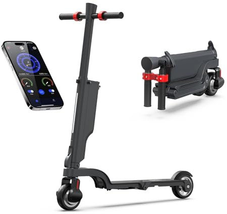 HX X6 Trotinette Electrique Adulte avec Batterie Amovible 36V 7,5Ah, Moteur 350W, 25KM/H, Trottinette Électrique Portable Pneus Nid d'abeille Increvables, Double Frein, Écran LCD, 3 Modes de Vitesse