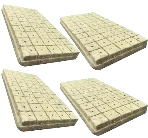 Dorccsi Lot de 200 cubes de laine de roche de 2,5 cm avec trous pour culture hydroponique, germination des graines et culture hydroponique sans sol
