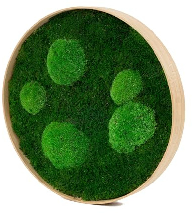 Moos Design | Rundes Moosbild - Durchmesser 30-90 cm (Forest Design, Holzrahmen: natur, Ø 30 cm)