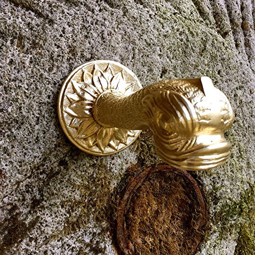 Antikas - Gargouille avec bouche de poisson, gargouille en laiton, bec de fontaine pour fontaine murale.