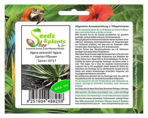 Stk - 10x Agave peacockii Agaven Garten Pflanzen - Samen ID717 - Seeds & Plants Shop by Ipsa
