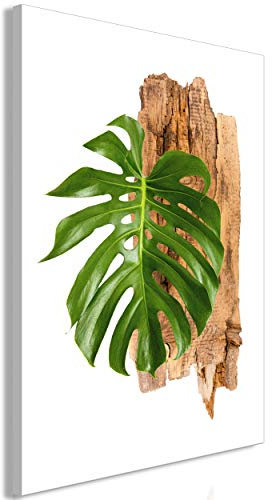 decomonkey Akustikbild Monstera 60x90 cm 1 Teilig Leinwand Modern Bilder Wandbilder XXL Schallschlucker Schallschutz Akustikdämmung Wandbild Deko Leise Natur Laub