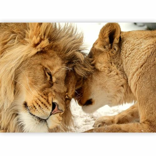 murando PREMIUM Fotomurales Leon 300x210 cm Papel pintado tejido no tejido | Decoración de Pared decorativos Murales moderna de Diseno Fotográfico Animales