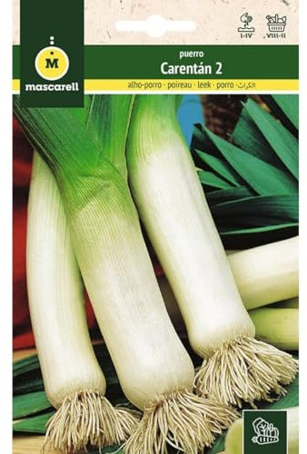 Mascarell Semillas, PUERRO, Semillas Huerto, PUERRO CARENTÁN 2, Crea tu Propio Huerto Urbano y Cultivo en Casa, Plantas Hortícolas, 4 Gramos