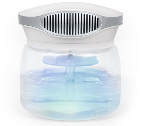winwinCLEAN® Master Bowl 4.0 Maxs I Purificateur d’Air Intérieur avec Filtre à Eau I Élimine 99,97 % de Pollen, Poussière & Odeurs | Air Purifier pour Chambre, Bébé, Bureau | jusqu'à 80 m²