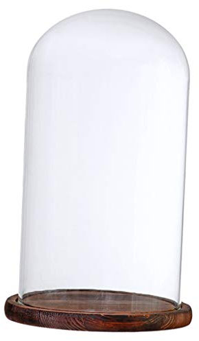 MagiDeal Cloche de en Verre avec Couvercle en Bois de Support de Paysage des Fleurs, Brown G