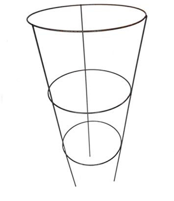 GAP GARDEN PRODUCTS- Conical support multi pack (coated green) Ideal For Supporting Large Perennials (Peonies, Delphiniums, Oriental Poppies) Pack Of 10 supports