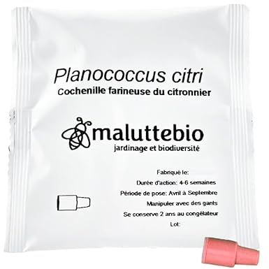 Pheromone cochenille farineuse - Traitement cochenilles farineuses Longue durée 10 semaines – Anti cochenille farineuse - S’utilise avec Un piège à phéromone