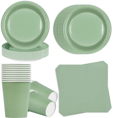 Alaoo Juego de Vajilla Verde Salvia Fiesta,96Pcs Vajilla Fiesta Cumpleaños