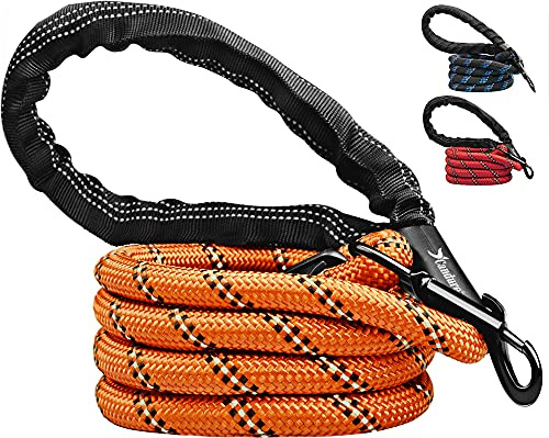 Candure Guinzaglio per Cani, Elastico Nylon Riflettente Resistente Guinzaglio Cane con Morbida Imbottita Impugnatura, 5ft Guinzaglio Addestramento per Cani Taglia Grande,Media e Piccola (Arancia)