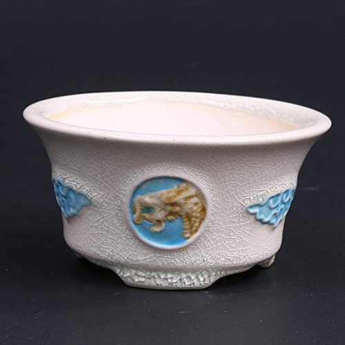 Bonsai - Schale, Kaskadenschale mit Relief, rund 12 Ø x 6 cm, cremefarben 50815