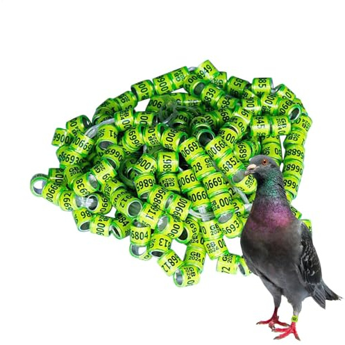 2025 duvbensringar – fågelfotringar, 50 stycken duvringar duvtillbehör band | generiska pigeon supplies band, fågelfotringar, pegeontillbehör för racingpapegojor, kycklingar, duvband ringar