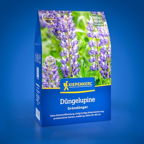 Kiepenkerl Düngelupine 1082000, Gründüngungssaat | Gründüngungspflanze mit hoher Stickstoffbindung, für Bodendüngung und Bodenfruchtbarkeit für 40 m², einjährig