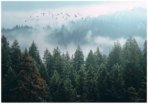 WallArena - Papel pintado de no tejido con efecto 3D de bosque, niebla y paisaje 350x250 cm - Fotomurales - Papeles pintados - para salón dormitorio - Papel pintado adhesivo con efecto 3D - incl