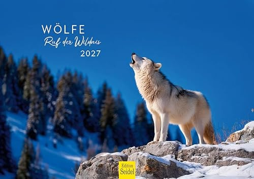 Edition Seidel Premium Kalender Wölfe Ruf der Wildnis 2027 Format DIN A5 Wandkalender Tierkalender Tiere Wolf Wolfsrudel Wildnis Natur