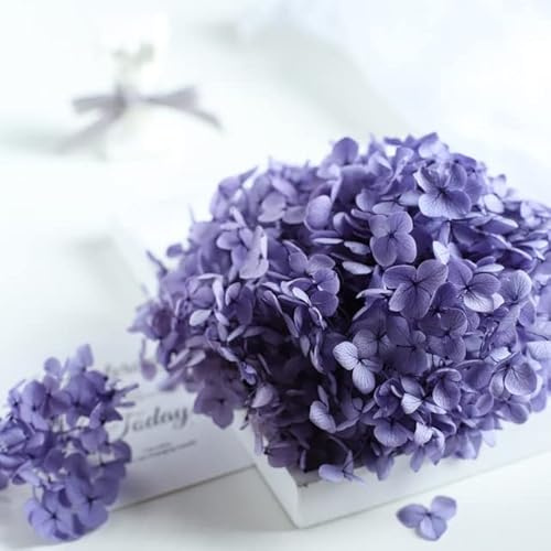 LEEYOX 15 g/Bolsa de Flores secas de Hortensia, Plantas Naturales conservadas, Hojas de Flores Frescas para decoración de Manualidades DIY, Material de Flores eternas