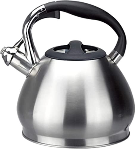 CAFIEDR Bouilloire à thé Bouilloire à thé en Acier Inoxydable Théière sifflante Poignée Ergonomique Résistant à la Chaleur Bouilloire à thé de Cuisine Domestique 3L Argent
