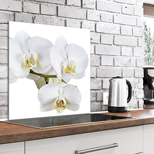 murando Glass Splashback for Kitchen Backsplash Cooker Protector | Tempered Glass Decorative Wall Art Panel Heat Resistant Graphic 60x60 cm / 24x24 Flowers Orchid White Blossom