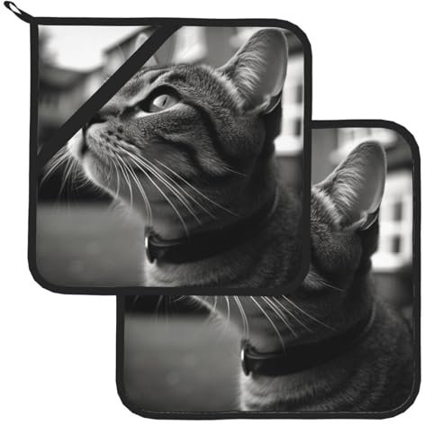 Topflappen-Set, hitzebeständig, mit Aufhängeschlaufe, Schwarz und Weiß, Foto von Katzen-Topflappen, waschbar, Hot Pads, rutschfeste Topflappen zum Kochen, Backen, Grillen, 20,3 x 20,3 cm, 2 Stück