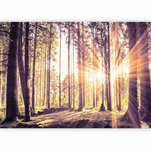 murando - Fototapete Premium-Vlies Wald, 400x280 cm, Schlafzimmer, Full HD | Premium-Vliesstoff, Full HD Druck, hochwertige Verarbeitung fürs Wohnzimmer, schnelle Montage, lichtbeständig, geruchsfrei