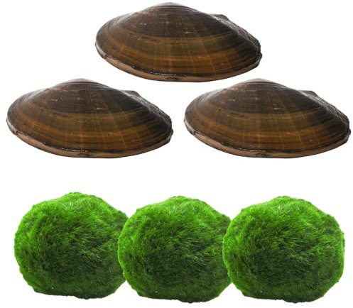 Set di filtri naturali per laghetti | cura naturale dello stagno per un laghetto da giardino chiaro e pulito e laghetto da pesce, 3 palline di alghe giapponesi Marimo e 3 conchiglie per laghetto