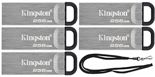 Kingston 256GB DataTraveler Kyson High Performance up to 200MB/s USB 3.2 Metal Flash Drive DTKN/256GB Bundle with (1) GoRAM Black Lanyard (256GB, 5 Pack)
