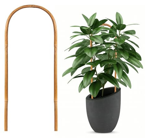 Hanaruer Handgefertigte 61 cm, Bambus-U-Spalierstäbe für Garten, natürlicher Bambus, U-Spalierstütze für Kletterpflanzen, U-Reifen, Rankgitter, perfekt für Topfpflanzenanbau, 20 Packungen